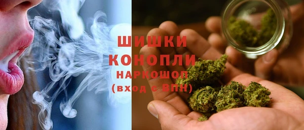 мет Ельня