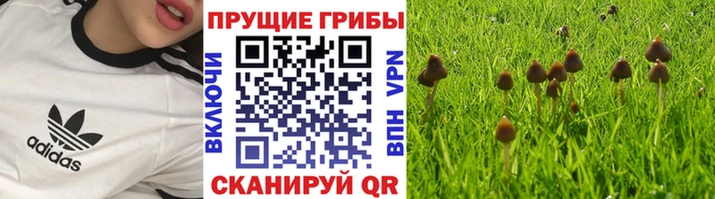 сколько стоит  Жуковский  Галлюциногенные грибы мухоморы 